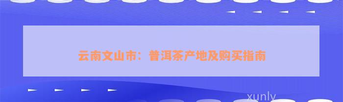 云南文山市：普洱茶产地及购买指南