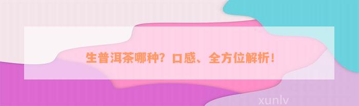 生普洱茶哪种？口感、全方位解析！