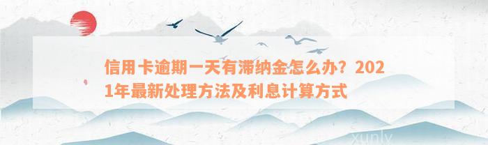 信用卡逾期一天有滞纳金怎么办？2021年最新处理方法及利息计算方式