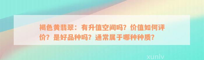 褐色黄翡翠：有升值空间吗？价值如何评价？是好品种吗？通常属于哪种种质？