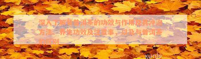 深入了解菊普洱茶的功效与作用及其冲泡方法、养生功效及注意事，以及与普洱茶的区别