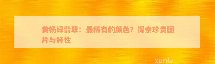 黄杨绿翡翠：最稀有的颜色？探索珍贵图片与特性