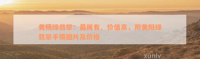 黄杨绿翡翠：最稀有、价值高，附黄阳绿翡翠手镯图片及价格