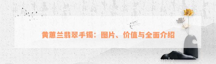 黄蕙兰翡翠手镯：图片、价值与全面介绍