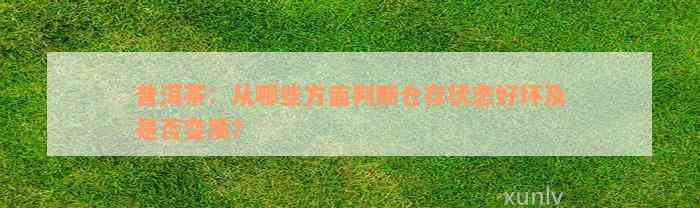 普洱茶：从哪些方面判断仓存状态好坏及是否变质？