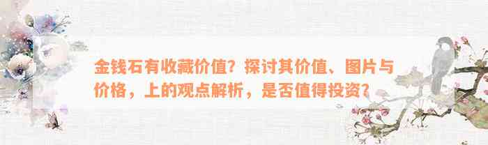 金钱石有收藏价值？探讨其价值、图片与价格，上的观点解析，是否值得投资？