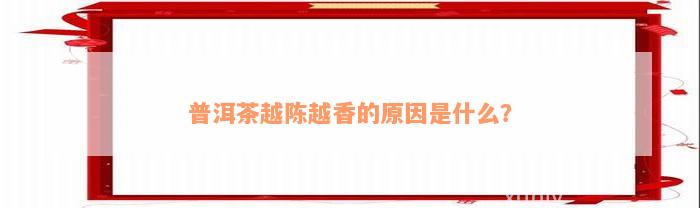 普洱茶越陈越香的原因是什么？