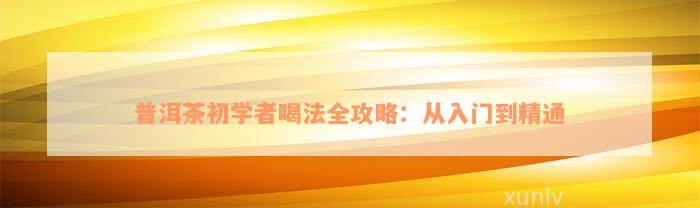 普洱茶初学者喝法全攻略：从入门到精通