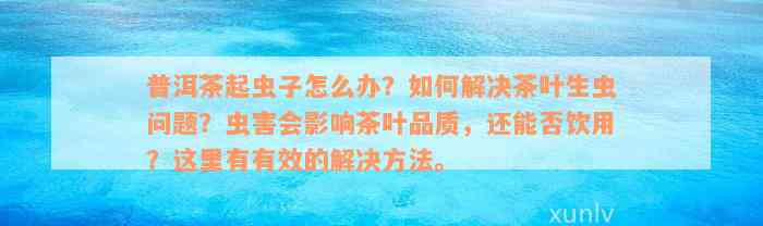 普洱茶起虫子怎么办？如何解决茶叶生虫问题？虫害会影响茶叶品质，还能否饮用？这里有有效的解决方法。