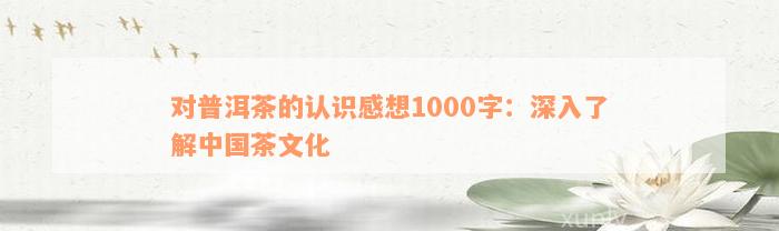 对普洱茶的认识感想1000字：深入了解中国茶文化