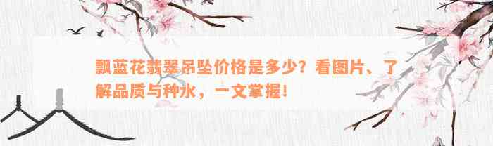 飘蓝花翡翠吊坠价格是多少？看图片、了解品质与种水，一文掌握！