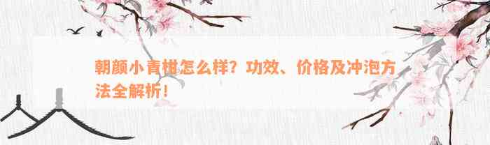 朝颜小青柑怎么样？功效、价格及冲泡方法全解析！