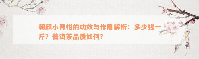 朝颜小青柑的功效与作用解析：多少钱一斤？普洱茶品质如何？