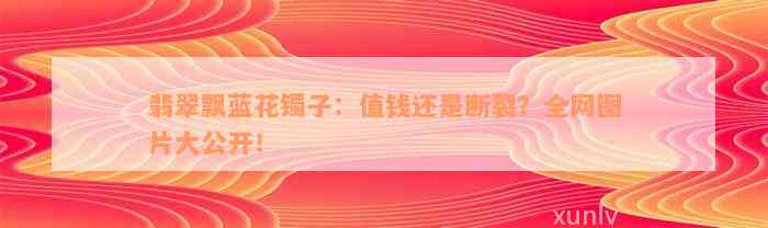 翡翠飘蓝花镯子：值钱还是断裂？全网图片大公开！