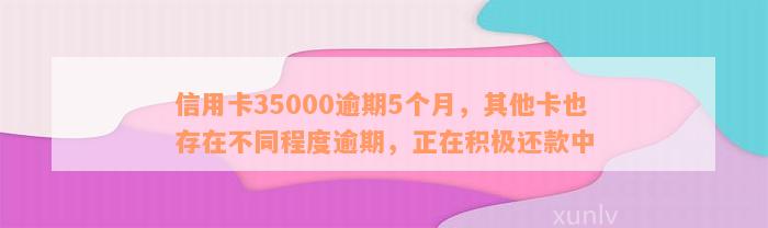 信用卡35000逾期5个月，其他卡也存在不同程度逾期，正在积极还款中