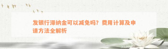 发银行滞纳金可以减免吗？费用计算及申请方法全解析