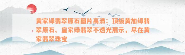 黄家绿翡翠原石图片高清：顶级黄加绿翡翠原石、皇家绿翡翠不透光展示，尽在黄家翡翠珠宝