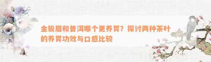 金骏眉和普洱哪个更养胃？探讨两种茶叶的养胃功效与口感比较