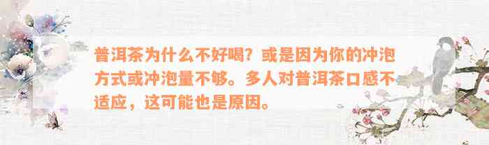 普洱茶为什么不好喝？或是因为你的冲泡方式或冲泡量不够。多人对普洱茶口感不适应，这可能也是原因。