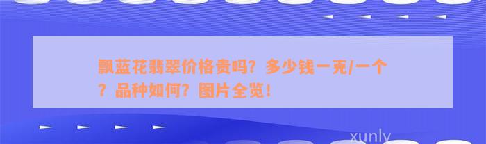 飘蓝花翡翠价格贵吗？多少钱一克/一个？品种如何？图片全览！