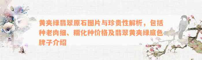 黄夹绿翡翠原石图片与珍贵性解析，包括种老肉细、糯化种价格及翡翠黄夹绿底色牌子介绍