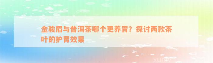 金骏眉与普洱茶哪个更养胃？探讨两款茶叶的护胃效果