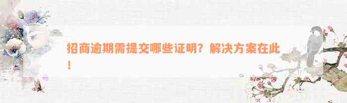 招商逾期需提交哪些证明？解决方案在此！