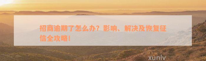 招商逾期了怎么办？影响、解决及恢复征信全攻略！