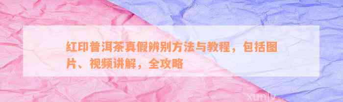 红印普洱茶真假辨别方法与教程，包括图片、视频讲解，全攻略