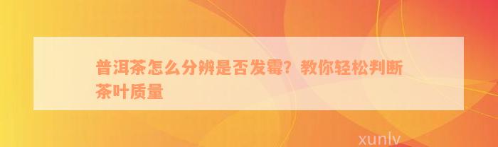 普洱茶怎么分辨是否发霉？教你轻松判断茶叶质量