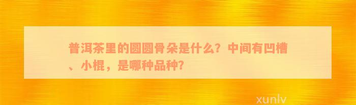 普洱茶里的圆圆骨朵是什么？中间有凹槽、小棍，是哪种品种？