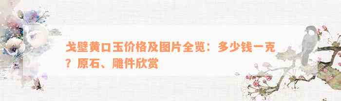 戈壁黄口玉价格及图片全览：多少钱一克？原石、雕件欣赏