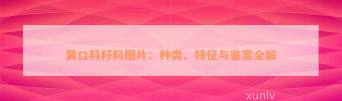 黄口料籽料图片：种类、特征与鉴赏全解