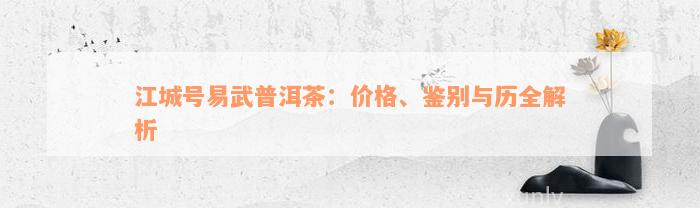 江城号易武普洱茶：价格、鉴别与历全解析