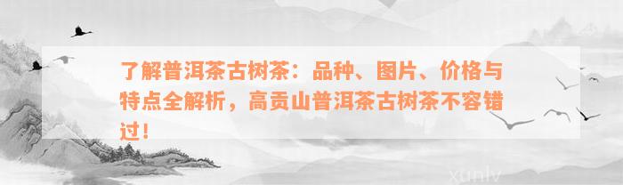 了解普洱茶古树茶：品种、图片、价格与特点全解析，高贡山普洱茶古树茶不容错过！