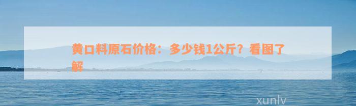 黄口料原石价格：多少钱1公斤？看图了解