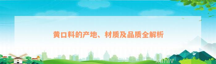 黄口料的产地、材质及品质全解析