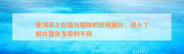 普洱茶上白霜与霉斑的区别图片：深入了解白霜和发霉的不同