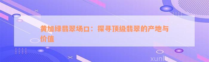 黄加绿翡翠场口：探寻顶级翡翠的产地与价值