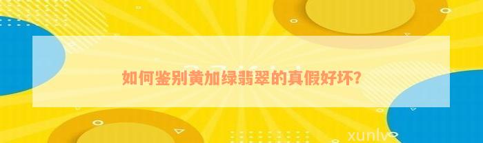 如何鉴别黄加绿翡翠的真假好坏？