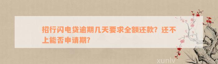 招行闪电贷逾期几天要求全额还款？还不上能否申请期？