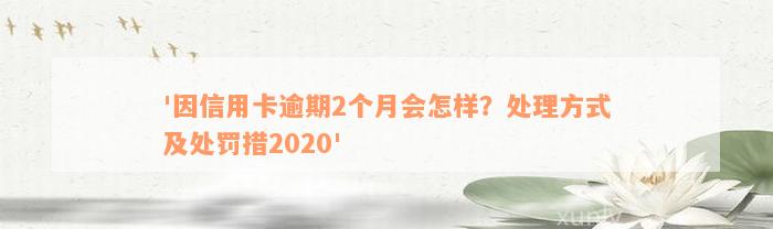 '因信用卡逾期2个月会怎样？处理方式及处罚措2020'