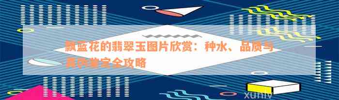 飘蓝花的翡翠玉图片欣赏：种水、品质与真伪鉴定全攻略