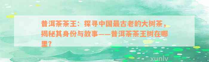 普洱茶茶王：探寻中国最古老的大树茶，揭秘其身份与故事——普洱茶茶王树在哪里？