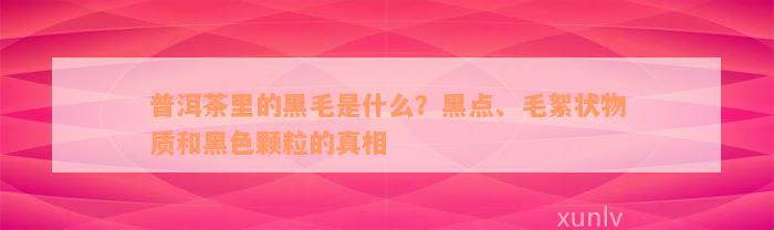 普洱茶里的黑毛是什么？黑点、毛絮状物质和黑色颗粒的真相