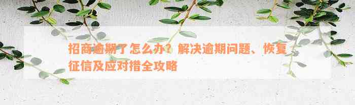 招商逾期了怎么办？解决逾期问题、恢复征信及应对措全攻略