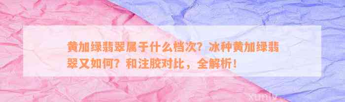 黄加绿翡翠属于什么档次？冰种黄加绿翡翠又如何？和注胶对比，全解析！