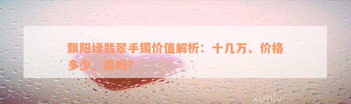 飘阳绿翡翠手镯价值解析：十几万、价格多少、高吗？