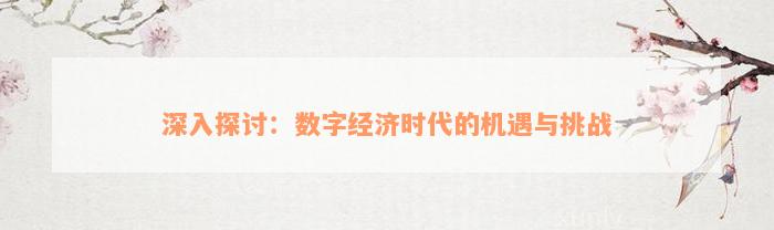 深入探讨：数字经济时代的机遇与挑战