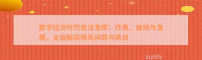 数字经济时代关注发挥：作用、推动与发展，全面解读相关问题与挑战